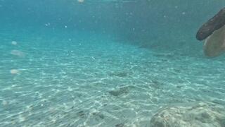 Girl handjob stranger underwater and he cum