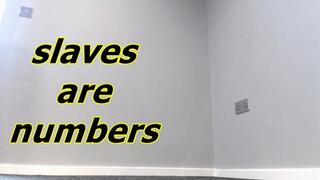 slaves are numbers (WMV)