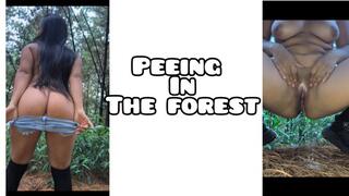 Get naked and peeing in the forest