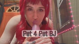 Pet 4 Pet BJ