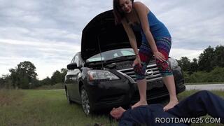 Indi - Trample The Mechanic SD MP4