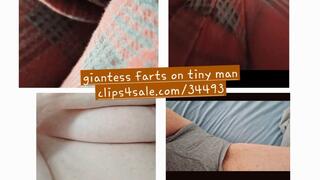 FARTING Giantess farts on tiny man