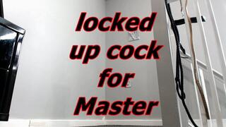 locked up cock for Master (WMV)