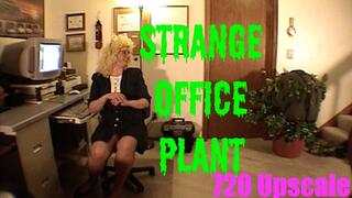 Strange Office Plant - 720res Upscale version