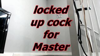 locked up cock for Master (AVI)