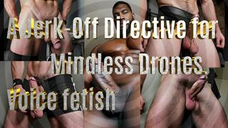 A Jerk-Off Directive for Mindless Drones! Voice fetish