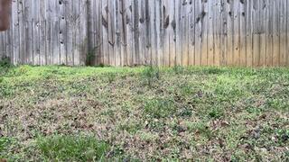 Desperately Peeing Outside