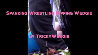 Girl Spanks and Wedgies Guy