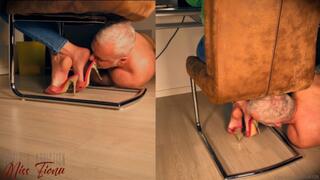 The Sniffer Under my Chair 5 WMV HD