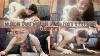 Multiple Days Multiple Meals from Pet Bowl