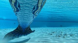 New Mermaid Tail in the Public Pool