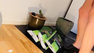 Gardening in sanita clogs geting dirty