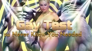 Gay Test You Never Knew You Needed WMV