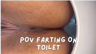 POV Farting in the toilet