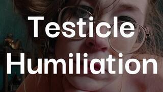Testicle and Manhood Humiliation