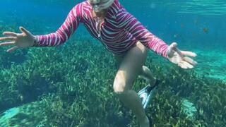 Snorkling and freediving in the Spring in the new shortie wetsuit