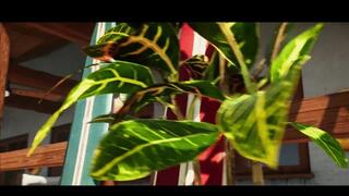 Bikini babe joins two dick girls and gets double penetration fucking outside