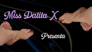 Miss DalilaX new job