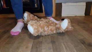 Sock trample teddy bear
