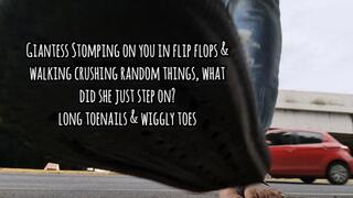 Giantess Stomping on you in flip flops & walking crushing random things, what did she just step on? long toenails & wiggly toes