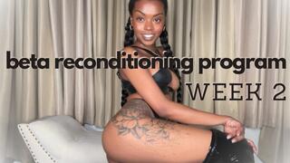 beta Reconditioning Program Part 2