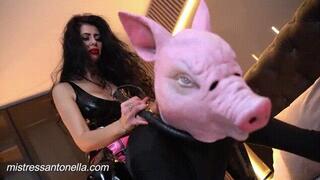 Mistress Antonella rides her Pig slave