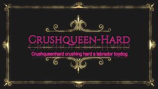 Crushing toydog labrador in nylons and wooden Berkemann sandals