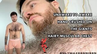 Unaware to aware hand crush on the giants hairy chest