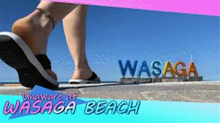 Unaware At Wasaga Beach - HD 720p Version