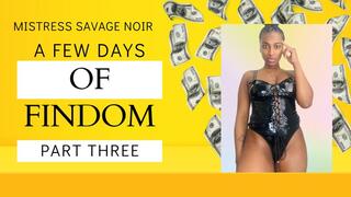 A Few Days of Findom! Part 3