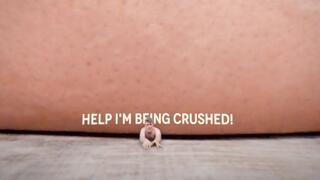 Devoured And Crushed By The Giant Bear