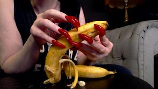 damage by claws march 2024