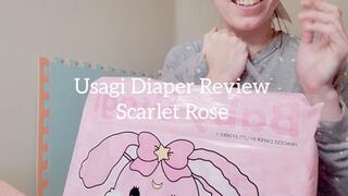 Usagi Diaper Review