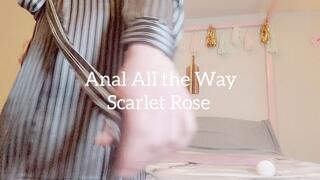 Anal All The Way