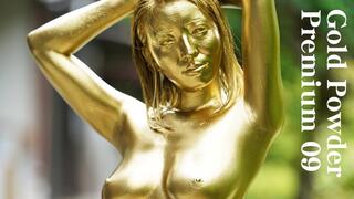 Gold Powder Premium 09 Non Ohana