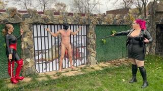 Brutal chest-bullwhipping by BBW Mistress