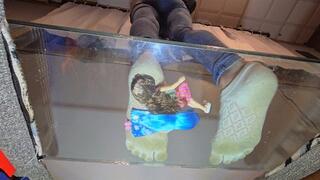 Barbies under toe socks underglass