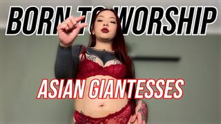 Born To Worship Asian Giantesses