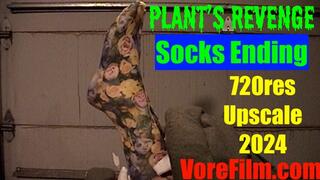 Plant's Revenge - socks 720res upscale