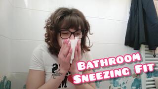 Bathroom Sneezing Fit