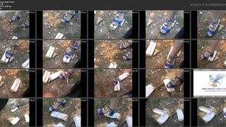 Rusks and crunchy biscuits crush