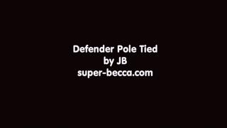 Defender Pole Tied