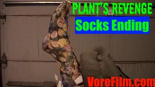 Plant's Revenge - socks 540res SD