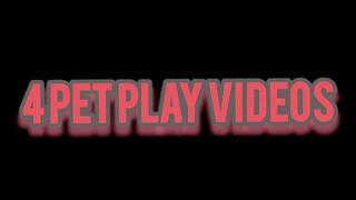 4 Pet Play Videos Bundle