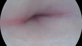 Belly Button Exploration