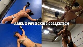 Ariel X POV Boxing Collection