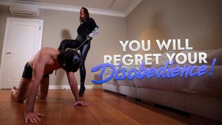 You Will Regret Your Disobedience! (mobile 720p)