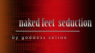 Seduced my Foot Wrinkles