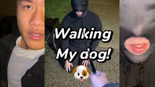 Walking my slave as a dog