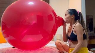 Sexy Sassy Sensually BLOWS To Pop Your 24 Inch Globos Crystal Balloon